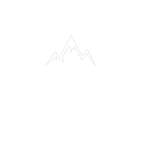 Bilstuk.com